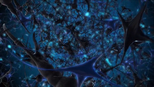 Các nhà khoa học cũng đánh giá các thông số đặc trưng cho cả mạng nơ-ron và mạng vũ trụ - số lượng kết nối trung bình tại mỗi nút và xu hướng nhiều kết nối tụ lại tại các nút trung tâm trong mạng - một lần nữa họ nhận thấy mức độ tương đồng cao bất ngờ.