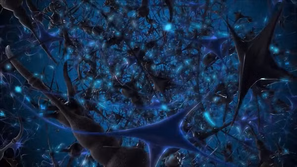 Các nhà khoa học cũng đánh giá các thông số đặc trưng cho cả mạng nơ-ron và mạng vũ trụ - số lượng kết nối trung bình tại mỗi nút và xu hướng nhiều kết nối tụ lại tại các nút trung tâm trong mạng - một lần nữa họ nhận thấy mức độ tương đồng cao bất ngờ.