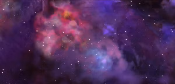 "Có khả năng các kết nối trong các mạng lưới này phát triển theo các nguyên tắc vật lý tương tự, bất chấp sự khác biệt rõ ràng và nổi bật giữa các lực vật lý điều chỉnh sự phân bố của các thiên hà và tế bào thần kinh", nhà giải phẫu thần kinh Alberto Feletti giải thích.