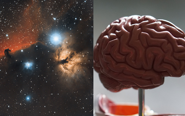 Theo kết quả nghiên cứu được công bố trên tạp chí Frontiers of Physics, bộ não con người và vũ trụ là hai hệ thống tự nhiên phức tạp nhất.