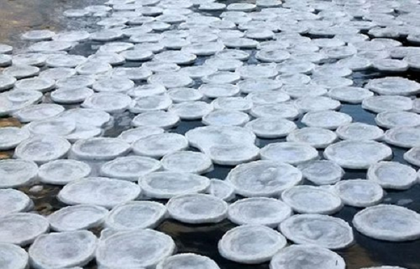 Băng hình kim châm được dồn vào một chỗ, tan thành hình đĩa tròn, sóng đánh qua đánh lại tạo thành được biên cong, cuối cùng thành hình bánh.