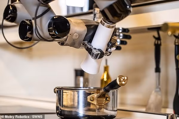 Các kỹ thuật nấu ăn của Anderson đã được sao chép dưới dạng không gian 3 chiều và "Robot Moley sẽ chuyển đổi công thức nấu ăn thành các cử dộng số duyên dáng bằng cách giải thuật toán theo yêu cầu".