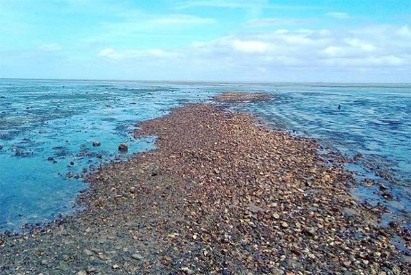 Ngoài những hiểm họa tự nhiên của lối đi bộ này, quân đội đã tiến hành các cuộc tập trận pháo binh trên đảo Foulness kể từ Thế chiến I, một số bom mìn chưa nổ có thể phát nổ trên cát và bãi bùn. Dù tiềm ẩn nhiều mối nguy hại, nhưng con đường này vẫn là điểm đến lý tưởng với du khách thích đi bộ đường dài giữa biển mênh mông.