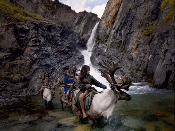 Để đền bù cho lệnh cấm săn bắt cũng như hỗ trợ cuộc sống của những người chăn nuôi tuần lộc, chính quyền địa phương trợ cấp cho họ một khoản tiền hàng tháng. Nhiều gia đình đã chuyển đến sống định cư tại một số ngôi làng có trường học, bệnh viện và cho con cái đi học.