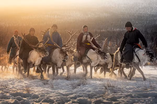 Chuyến đi mới nhất đưa Pascal đến với những người du mục ở Mông Cổ. Họ sống bằng nghề nuôi tuần lộc ở phia bắc khovsgol Aimag, nơi mà nền văn hóa đang dần lụi tàn.