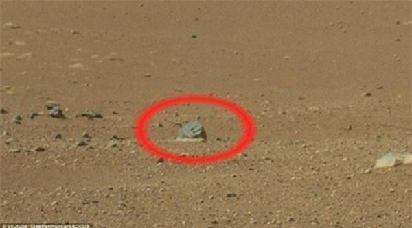 Một bức ảnh khác cho thấy một khối đá có hình giống sinh vật trên trái đất. Những di vật này có thể là thật hay chỉ là do hiệu ứng tạo ra