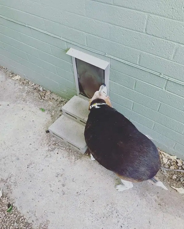 Và thế là ai rồi cũng khác, Wolfgang giờ đây đã "lột xác" hoàn toàn nhờ giảm cân thành công.