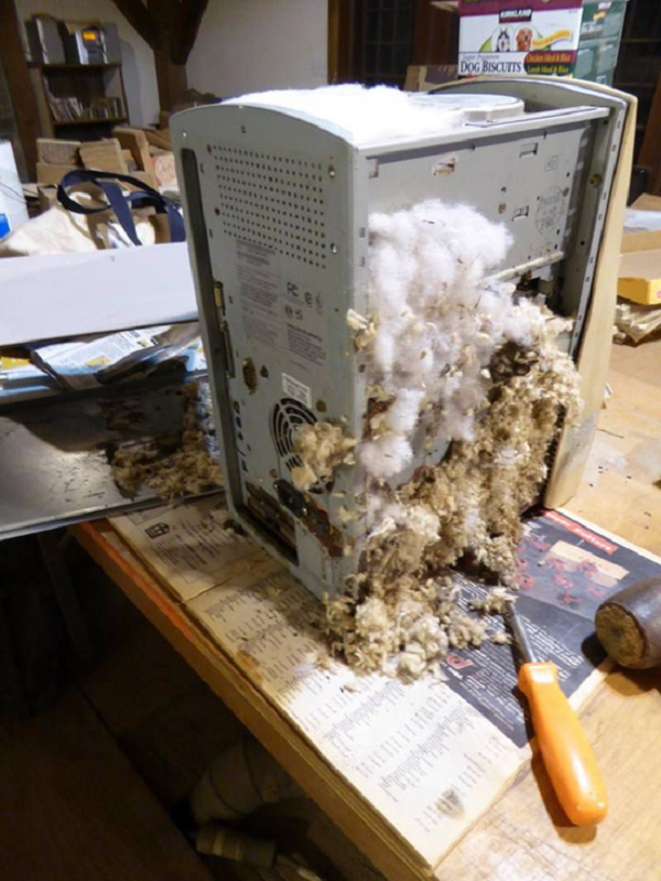 Lâu không vệ sinh không ngờ nó bẩn như vậy.