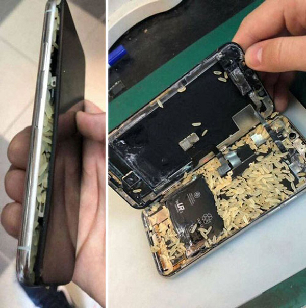 Cho vào thùng gạo để hút ẩm nhưng lại bị phản tác dụng.