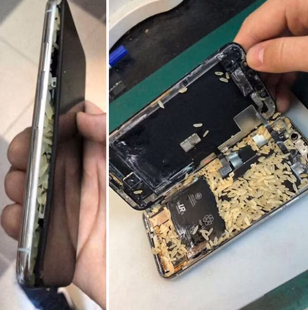 Cho vào thùng gạo để hút ẩm nhưng lại bị phản tác dụng.