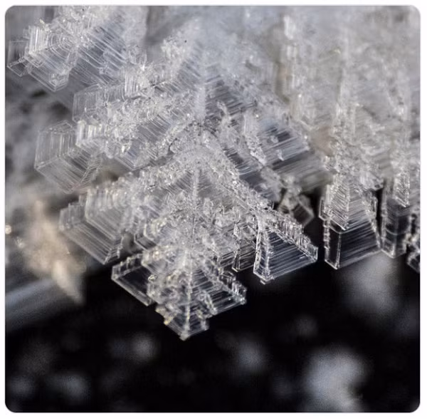 Hình dáng của một những tinh thể hoa băng.