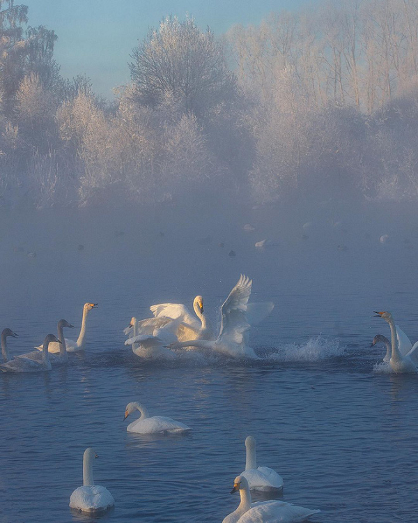 Dù lạnh giá nhưng không thể phủ nhận sự thơ mộng của khung cảnh nơi đây.