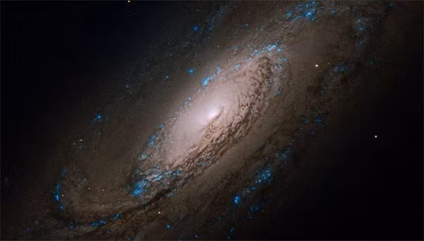 Caldwell 29 (NGC 5005) là thiên hà xoắn ốc có thể chứa một hố đen siêu lớn ở lõi, được phát hiện cũng bởi Herschel vào năm 1785.