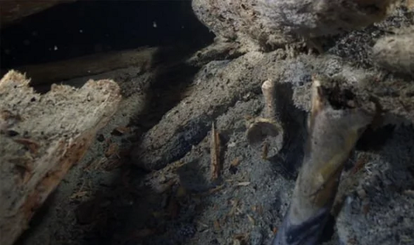 Điều gây sốc nhất là xác tàu hầu như không bị hư hại gì ngoài những dấu vết do cuộc chiến để lại. Lý do của sự tồn tại vĩnh cửu này đến từ biển Baltic: nó cực lạnh, khiến chiếc tàu đắm và toàn bộ người trên đó bị đóng băng, chìm xuống rất sâu và được độ lạnh giữ cho nguyên vẹn.