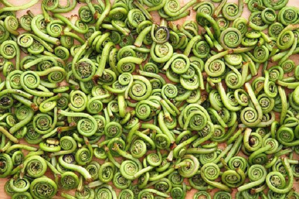 Fiddleheads hay rau dương xỉ non là những lá non của cây dương xỉ chưa nở hết được dùng để làm món luộc hoặc làm salad. Loại rau này rất giàu axit béo Omega-3 và chất xơ. Hơn nữa, rau dương xỉ non còn chứa chất chống oxy hóa nhiều gấp hai lần so với quả việt quất.