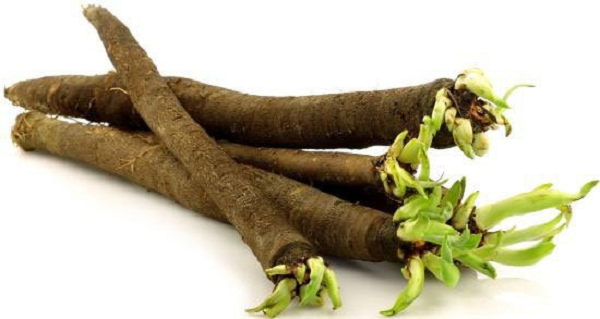 Cây củ hạ có nguồn gốc từ Địa Trung Hải. Người La Mã và Hy Lạp cổ đại đã sử dụng nó như một loại thuốc bổ rất tốt. Rễ này củ hạ cung cấp rất nhiều canxi, sắt và phốt pho.