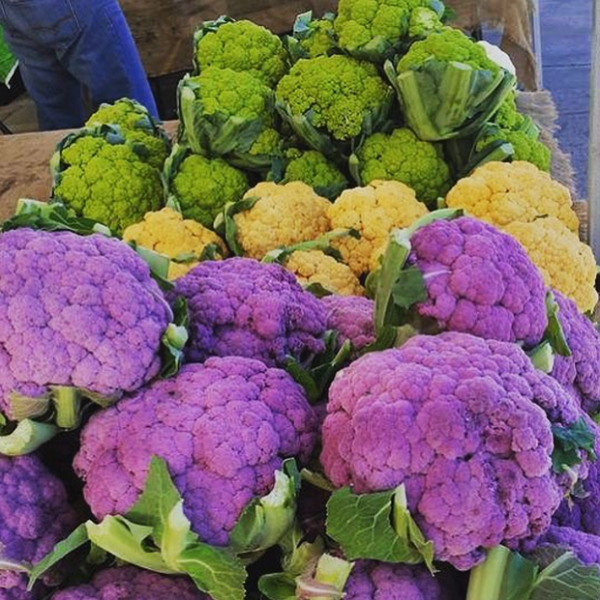 Giống súp lơ cầu vồng này là thành quả của một nông dân người Anh có tên Andrew Burgess. Chúng trông rất giống như một bó hoa đầy màu sắc và có thể dùng vào bất cứ món gì.