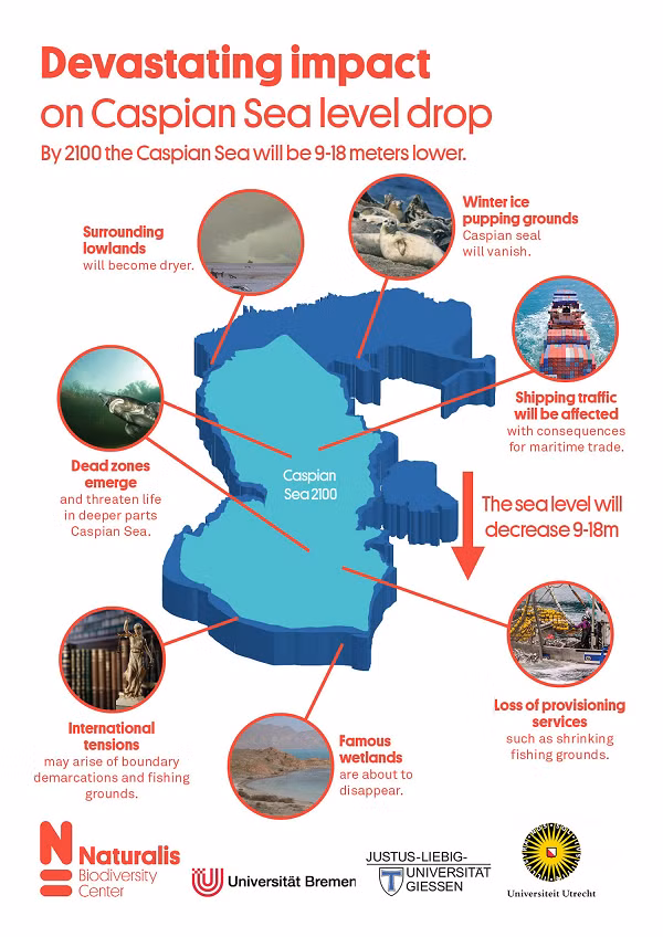 Không những thế biển Caspi còn là kho dầu khí khổng lồ, đóng vai trò quan trọng đối với kinh tế thủy hải sản của các quốc gia này, là nguồn cung cấp tài nguyên cực kỳ quan trọng đối với các quốc gia lân cận.