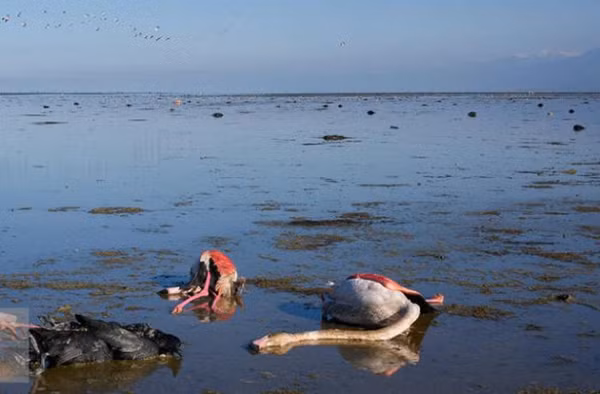 Theo World Atlas, biển Caspi là hồ nước lớn nhất thế giới với diện tích bề mặt 371.000 km2 và thể tích 78.200 km3. Đây là hồ nước mặn duy nhất nằm trong top 10 hồ nước lớn nhất thế giới.