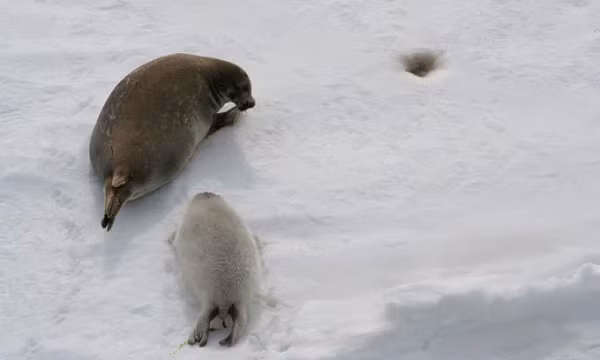 Theo tiến sĩ Frank Wesselingh của đại học Utrecht dự đoán biển Caspi sẽ giảm 9 -18m vào năm 2100, gấp đôi so với ước tính trước đó. Điều này đồng nghĩa với việc 23-34% diện tích bề mặt sẽ biến mất.