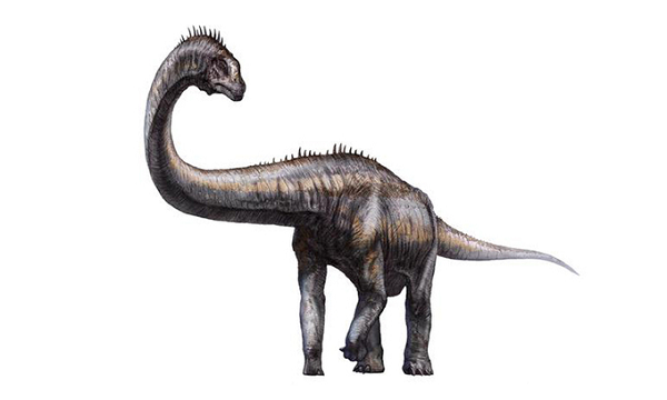 Theo báo cáo, có tới tổng cộng 99 dấu chân khủng long hóa thạch, dài từ 22 đến 99,3 cm, được tìm thấy trên một khu vực đá sa thạch ở thị trấn Qamdo, thuộc khu tự trị Tây Tạng.