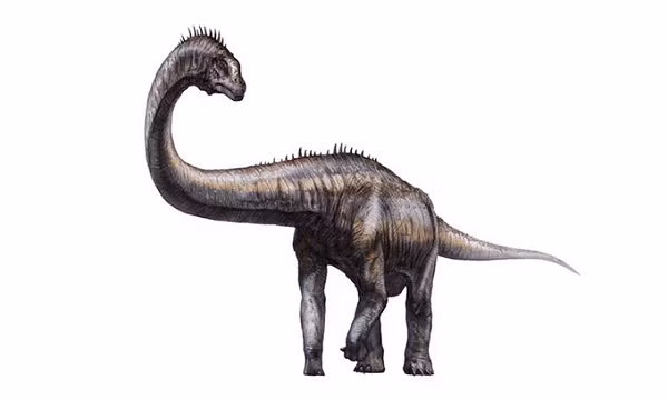 Theo báo cáo, có tới tổng cộng 99 dấu chân khủng long hóa thạch, dài từ 22 đến 99,3 cm, được tìm thấy trên một khu vực đá sa thạch ở thị trấn Qamdo, thuộc khu tự trị Tây Tạng.