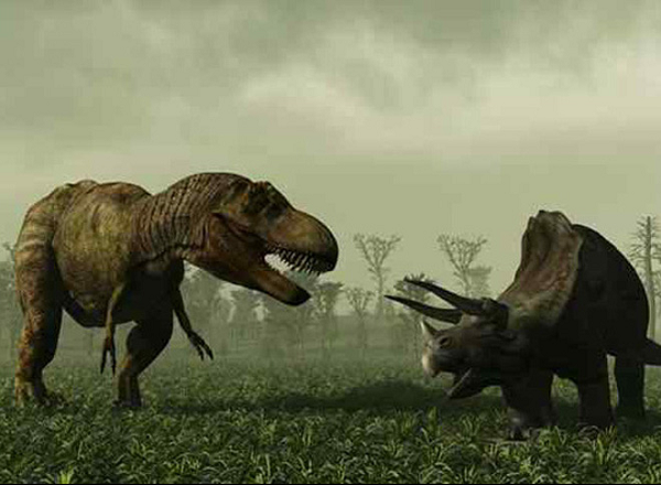 Chúng được tạo ra bởi nhiều con khủng long chân thằn lằn có kích thước khác nhau, ước tính có chiều dài từ 5 đến 22 m, sống trong kỷ Jura cách đây 161 - 176 triệu năm.