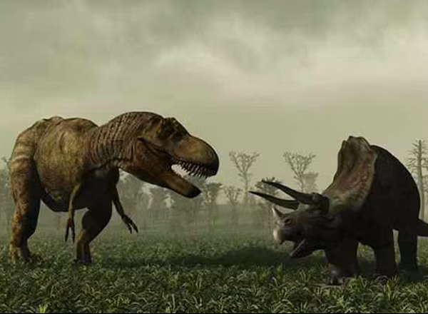 Chúng được tạo ra bởi nhiều con khủng long chân thằn lằn có kích thước khác nhau, ước tính có chiều dài từ 5 đến 22 m, sống trong kỷ Jura cách đây 161 - 176 triệu năm.