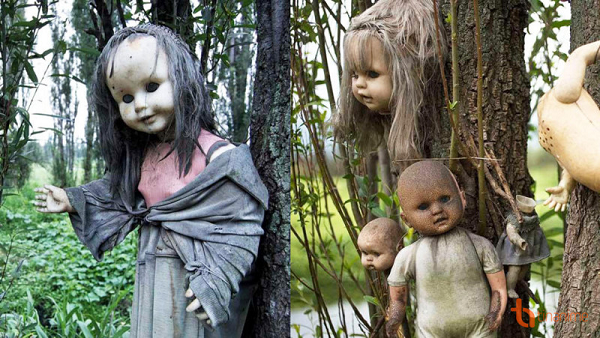 Hòn đảo của những con búp bê là một trong những nơi đáng sợ nhất không dành cho những người yếu tim. Santana Barrera lần đầu tiên đặt chân đến hòn đảo, ông đã phát hiện thi thể một cô gái trên bờ sông và từ đó ông nhìn thấy rất nhiều búp bê trôi nổi gần đó. Ông mặc quần áo và treo chúng lên cây để cố gắng xoa dịu linh hồn của cô gái và bảo vệ bản thân khỏi ma quỷ.