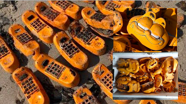 Các thành viên của nhóm tình nguyện Ar Viltansou đã nghi ngờ rằng một container trên tàu chở hàng nào đó có lẽ đã bị bão lớn thổi bay xuống biển, khiến tất cả hàng hóa bên trong văng ra, song họ chưa nắm được thông tin nào về giả thuyết này.