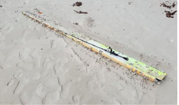 Trước đó, một cư dân Úc đã tìm thấy các mảnh vỡ được cho là của một chiếc máy bay thương mại đã được tìm thấy ở một bãi biển hẻo lánh ở cực bắc Australia, dấy lên hy vọng mới về việc tìm kiếm máy bay mất tích MH370.