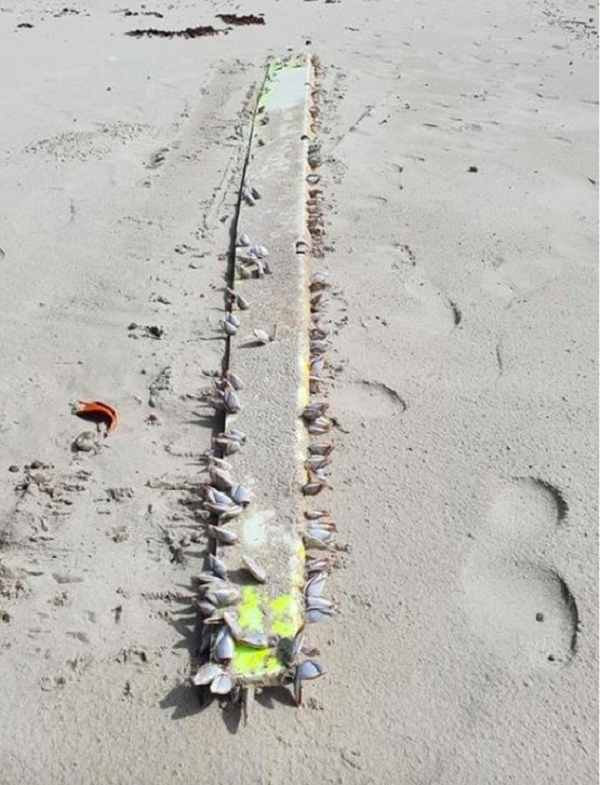 Tuy nhiên, các chuyên gia cho rằng phần còn lại được khai quật không có khả năng thuộc về chiếc Boeing 777 mất tích. Nhà nghiên cứu hàng không Mick Gilbert nói với tờ The Australian rằng ông không nghĩ rằng phát hiện này là từ chuyến bay MH370 của Malaysia Airlines.