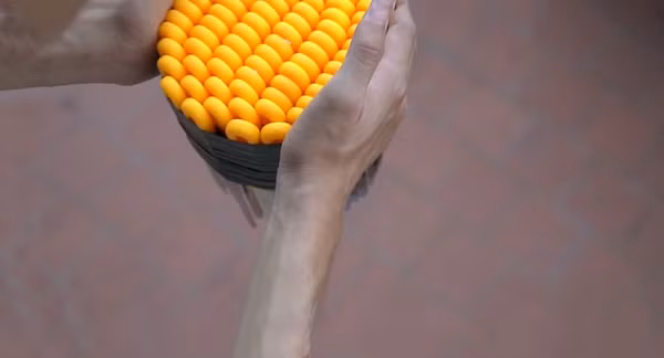 Vlogger NTN đã đăng tải video có tiêu đề Thả 100 cái dao trên cao xuống. Chỉ sau 3 ngày đăng tải, video này đạt hơn 2 triệu lượt xem, 84.000 lượt thích vào cuối năm 2019.