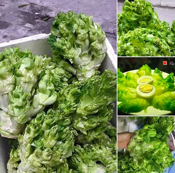 Cải mầm đá Sapa đang được rao bán tràn lan trên mạng xã hội.