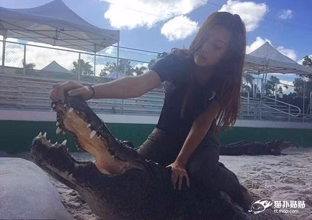 Cũng nhờ công việc đặc thù này, Gabby rất nổi tiếng trên mạng xã hội. Rất nhiều người không thể tin được rằng một cô gái xinh đẹp, trẻ trung như Gabby lại có thể không sợ hãi hay ngần ngại đụng chạm và thân mật với những con cá sấu khổng lồ.