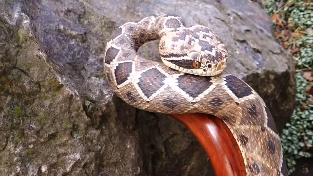 Trong ảnh là một tác phẩm hoàn thiện của Mike Stinnett, một tác phẩm điêu khắc xuất sắc, khiến nhiều người giật mình vì quá giống thật. (Nguồn Boredomtherapy)