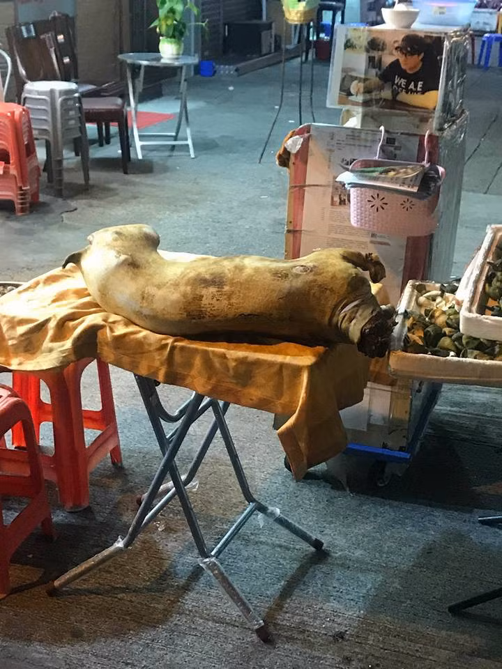 Nghe tieng keu tham thuong trong quan an... den phat hien dieu kinh hoang