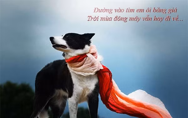 Trời mùa đông mây vẫn hay đi về.