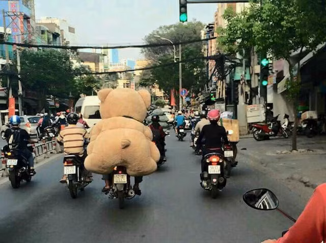 Đông này có gấu theo chân mỗi ngày giúp chúng ta không thấy lạnh lẽo.