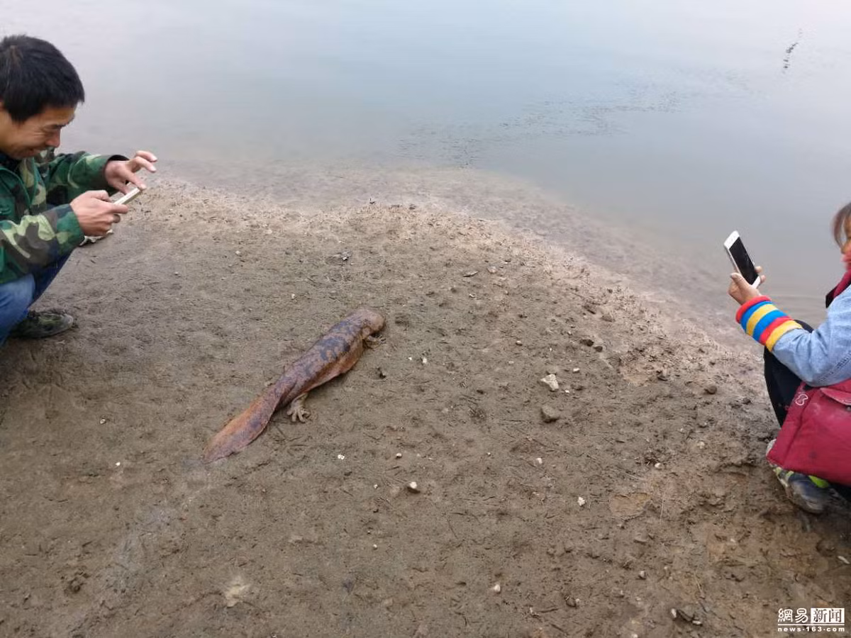 Luon nghe tieng tre con khoc dem va su that "soc" phia sau-Hinh-2