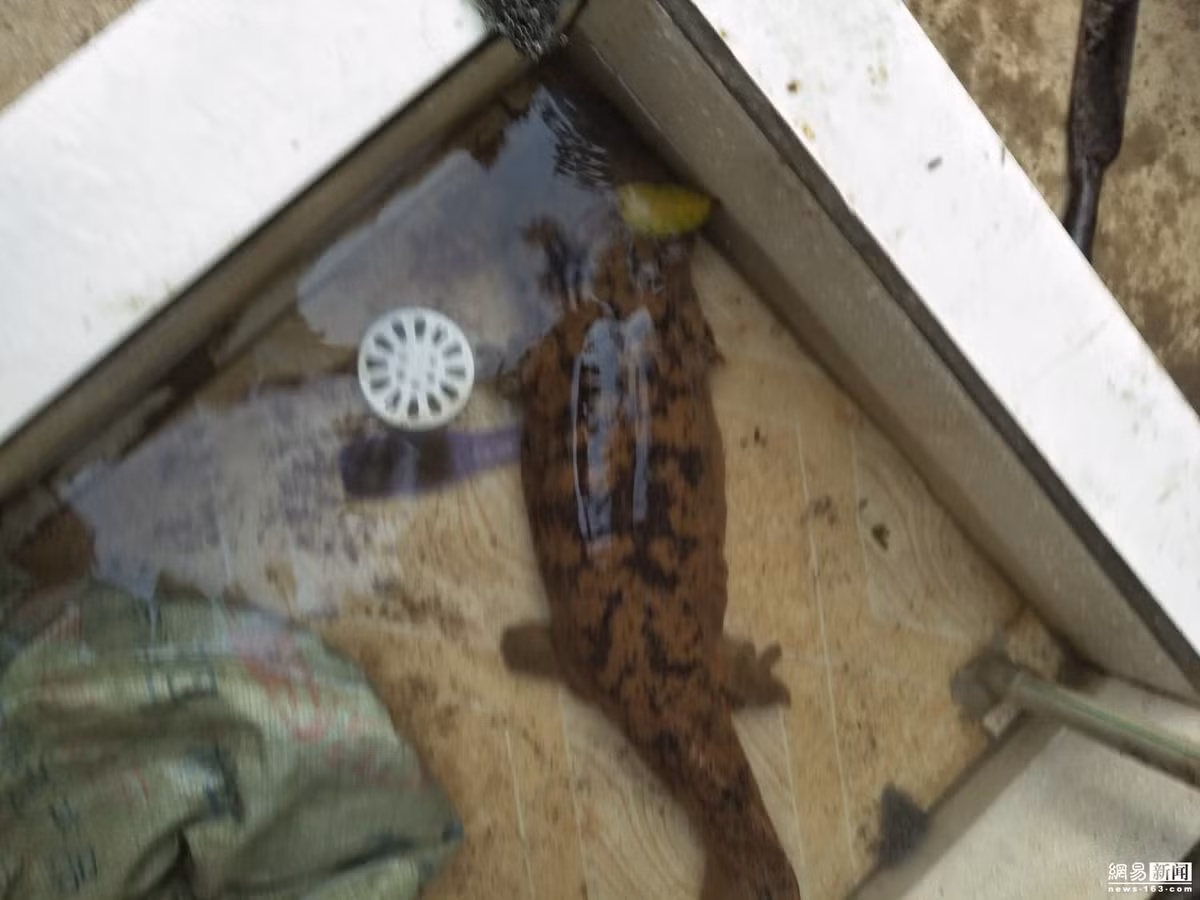 Luon nghe tieng tre con khoc dem va su that "soc" phia sau-Hinh-3