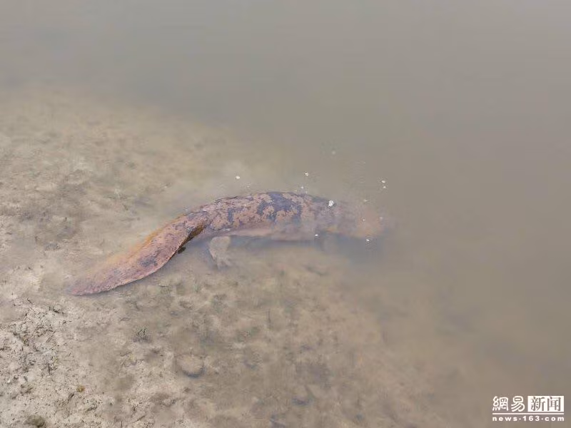 Luon nghe tieng tre con khoc dem va su that "soc" phia sau