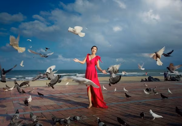 Loat anh dep tuyet my ve thanh pho dang song nhat VN