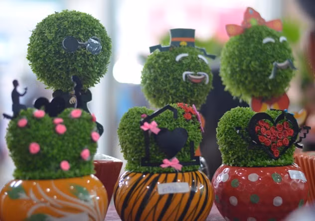 Ban đầu, những cây cỏ này được gieo hạt trong những khung chậu có sẵn với kích thước và khối lượng hợp lý.