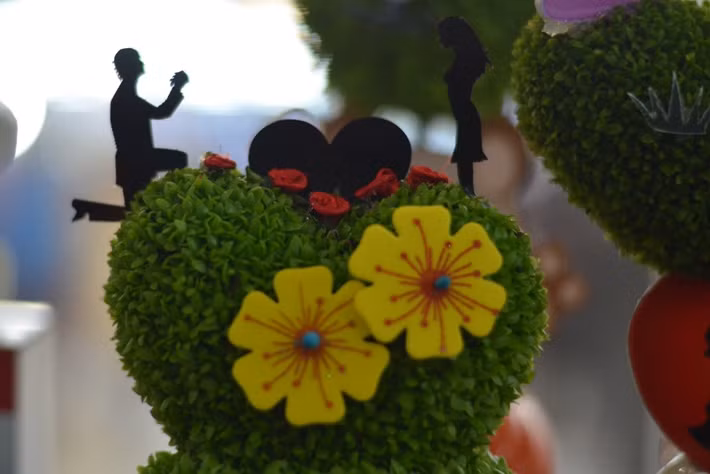 Song thực chất những cây cỏ này có nguồn gốc Nhật Bản và khi đưa về gieo trồng ở Việt Nam thì phải được chăm sóc trong môi trường lạnh.