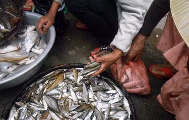 Hàng hóa trao đổi duy nhất trong phiên chợ cầu may xứ Quảng là cá mương. Theo quan niệm dân gian, “mương may, chày rủi” nên con cá mương đã trở thành biểu tượng cho sự may mắn. Chỉ cần trong mâm cơm dâng cúng tổ tiên có món cá mương là đã thể hiện sự thành kính của con cháu đối với ông bà. 