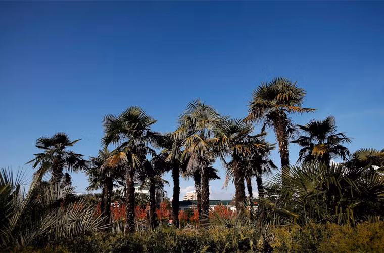 Sochi còn được mọi người gọi là "Thành phố mùa hè của Nga" hay "Viên Ngọc trai của Biển Đen".