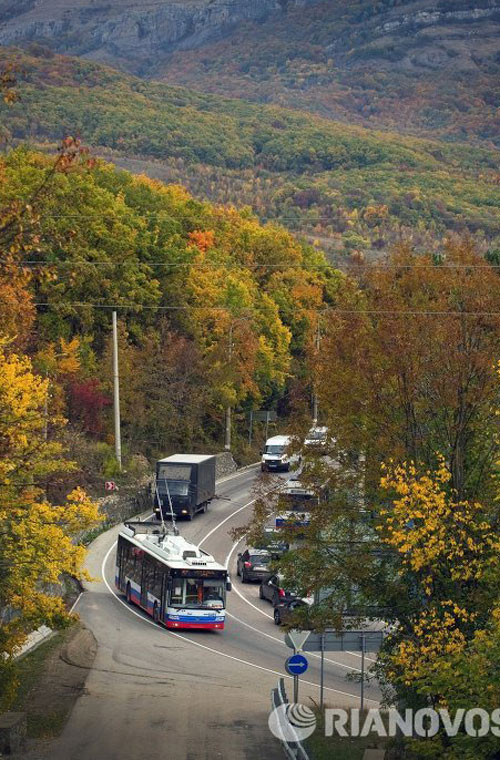 Vạt rừng nằm uốn lượn quanh một cung đường chuyển sang màu vàng đặc trưng của mùa thu.