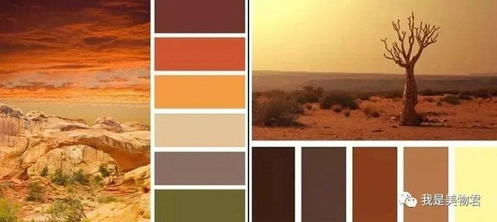 Về màu sắc, gam màu đất được đánh giá phù hợp với hầu hết các tông da cơ bản. Nó trải rộng nhiều phổ màu khác nhau, ghi điểm bởi sự đơn giản và tinh tế.