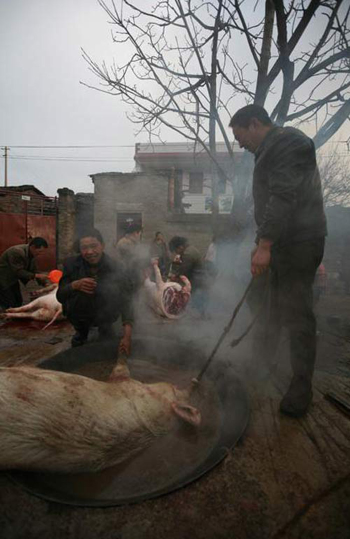 Thịt xông khói được sản xuất quanh năm nhưng thời điểm thịt ngon nhất là vào cuối đông đầu xuân. Khi những đợt sương giá đầu tiên xuất hiện, người dân bắt đầu rửa sạch chảo sôi và thả lợn vào giết thịt.